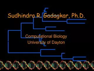 Sudhindra R. Gadagkar, Ph.D.