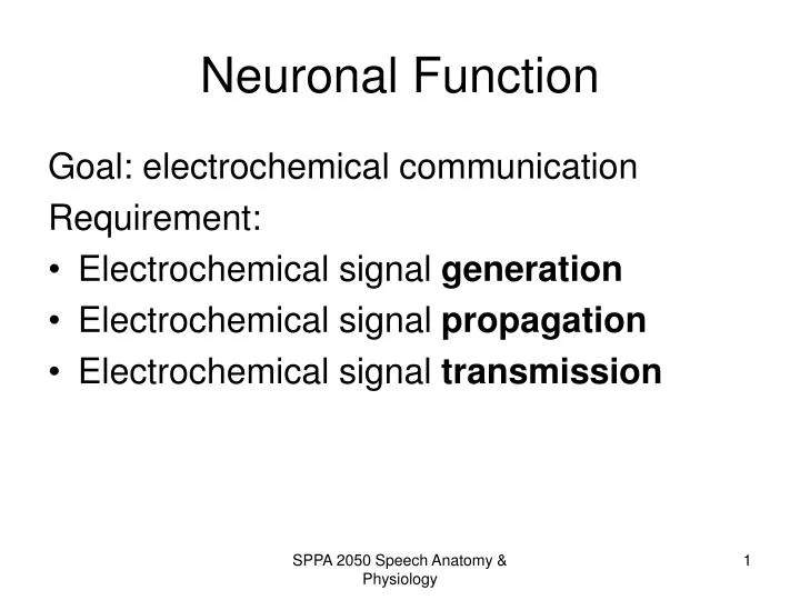 neuronal function