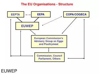 The EU Organisations - Structure