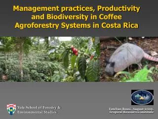 Management practices, Productivity and Biodiversity in Coffee Agroforestry Systems in Costa Rica