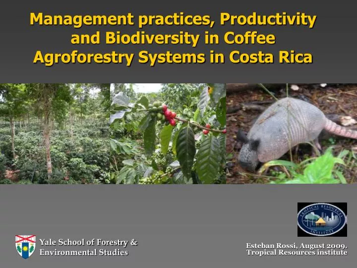 management practices productivity and biodiversity in coffee agroforestry systems in costa rica