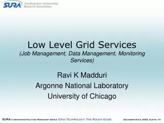 Low Level Grid Services (Job Management, Data Management, Monitoring Services)