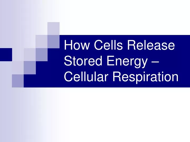 how cells release stored energy cellular respiration