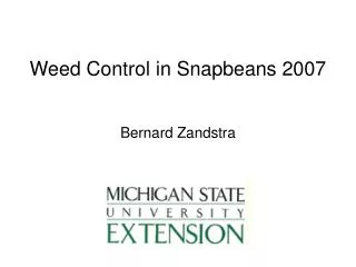 Weed Control in Snapbeans 2007