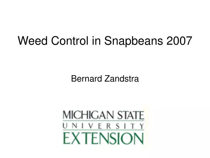 weed control in snapbeans 2007