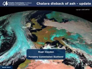 Chalara dieback of ash - update