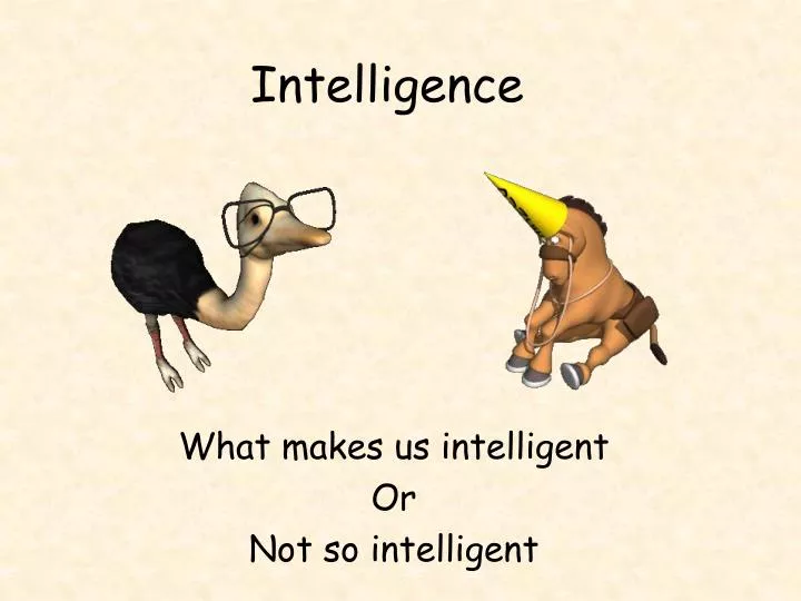 intelligence