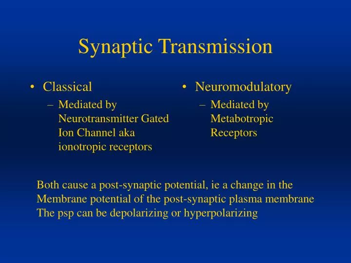 synaptic transmission