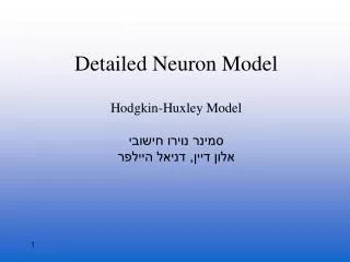 detailed neuron model