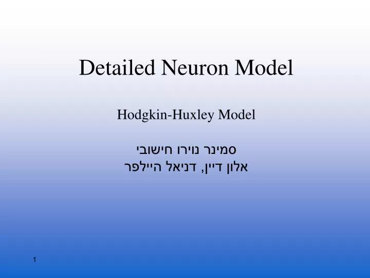 detailed neuron model