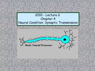 2010 - Lecture 6 Chapter 4 Neural Condition: Synaptic Transmission