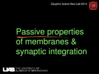 Passive properties of membranes &amp; synaptic integration