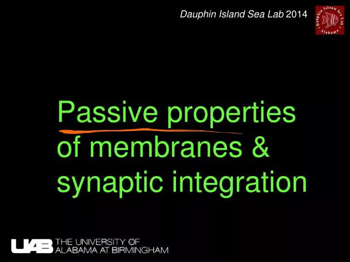 passive properties of membranes synaptic integration