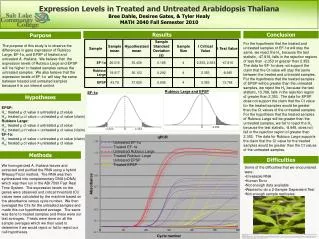 Expression Levels in Treated and Untreated Arabidopsis Thaliana