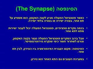 the synapse