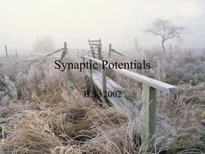 synaptic potentials