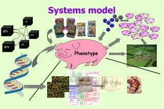 Systems model