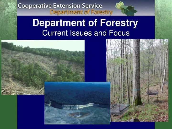department of forestry