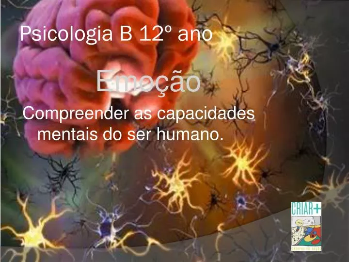 psicologia b 12 ano