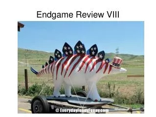 Endgame Review VIII