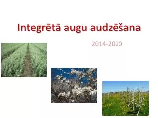 integr t augu audz ana