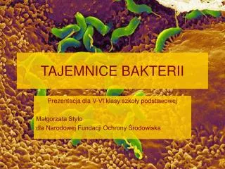 tajemnice bakterii