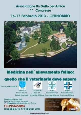 16 17 febbraio 2013 cernobbio