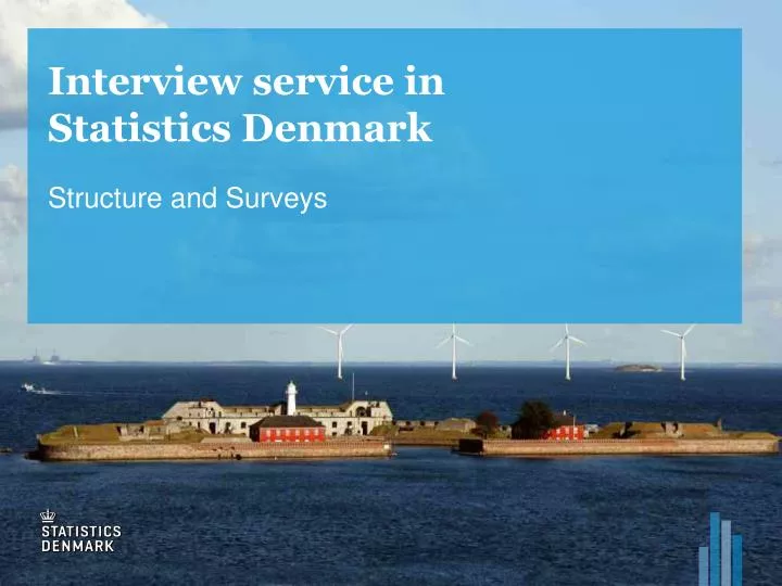 interview service in statistics denmark