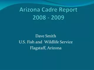 Arizona Cadre Report 2008 - 2009