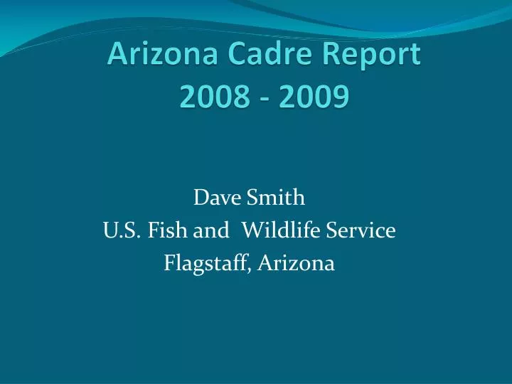 arizona cadre report 2008 2009