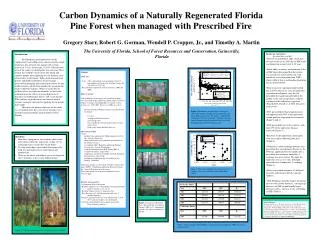 Carbon Dynamics of a Naturally Regenerated Florida Pine Forest when managed with Prescribed Fire