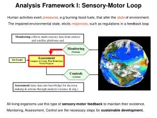 Analysis Framework I: Sensory-Motor Loop