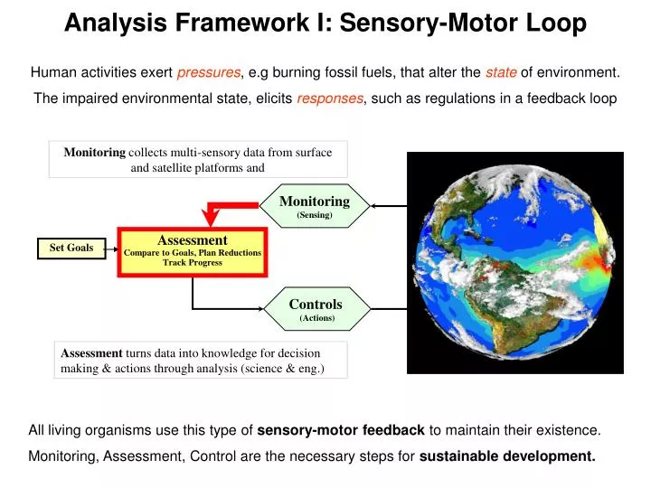 analysis framework i sensory motor loop