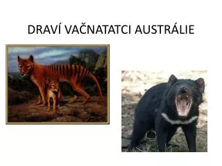 drav va natatci austr lie