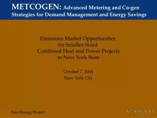 METCOGEN: Advanced Metering and Co-gen Strategies for Demand Management and Energy Savings