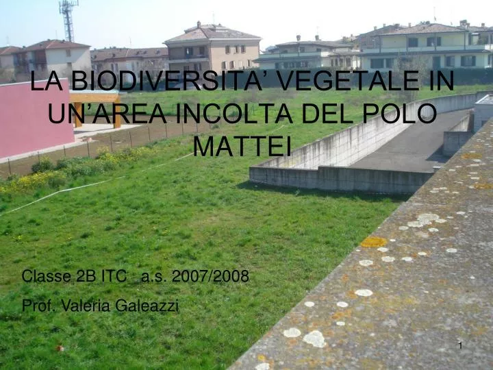 la biodiversita vegetale in un area incolta del polo mattei