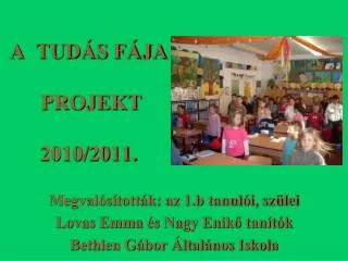 a tud s f ja projekt 2010 2011