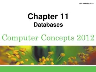 Chapter 11 Databases