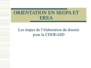 orientation en segpa et erea