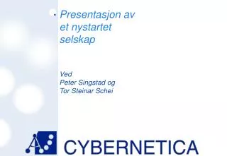 presentasjon av et nystartet selskap