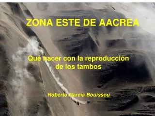 zona este de aacrea