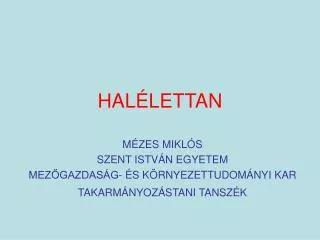 hal lettan
