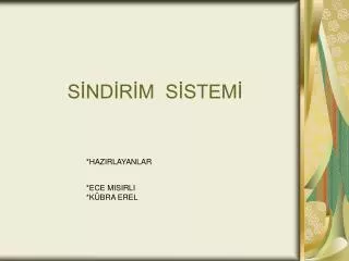 PPT SINDIRIM SISTEMI PowerPoint Presentation Free Download ID