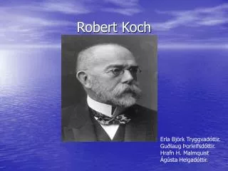robert koch