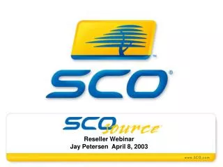 Reseller Webinar Jay Petersen April 8, 2003