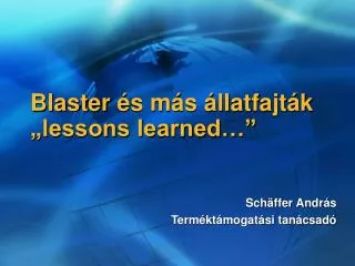 blaster s m s llatfajt k lessons learned