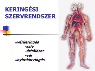 kering si szervrendszer