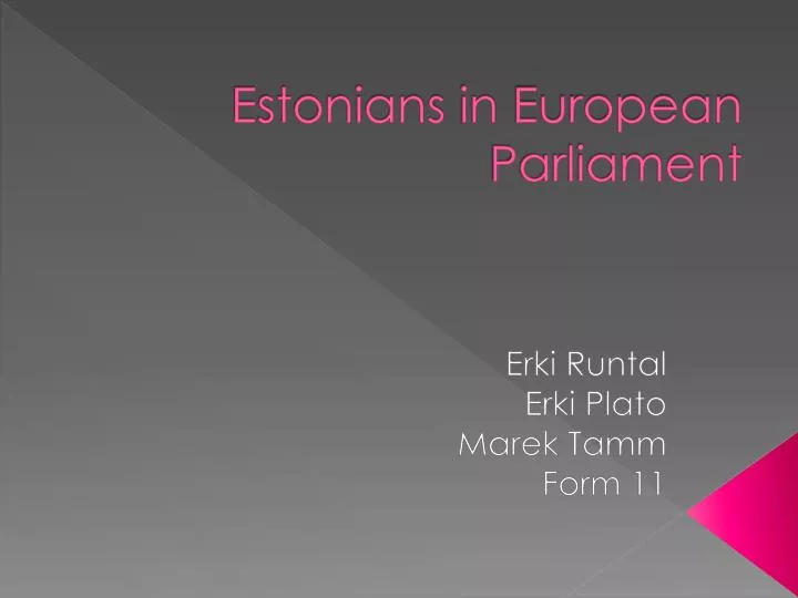estonians in european parliament