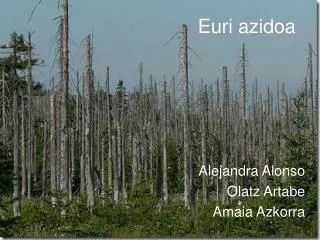 Euri azidoa