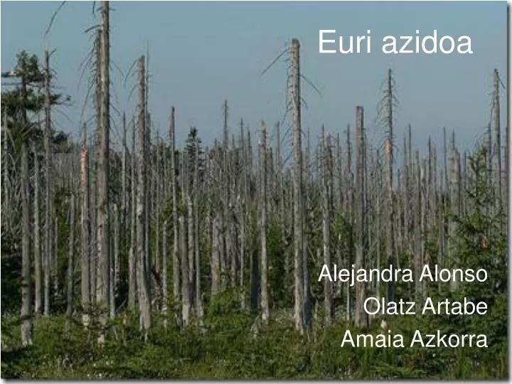 euri azidoa